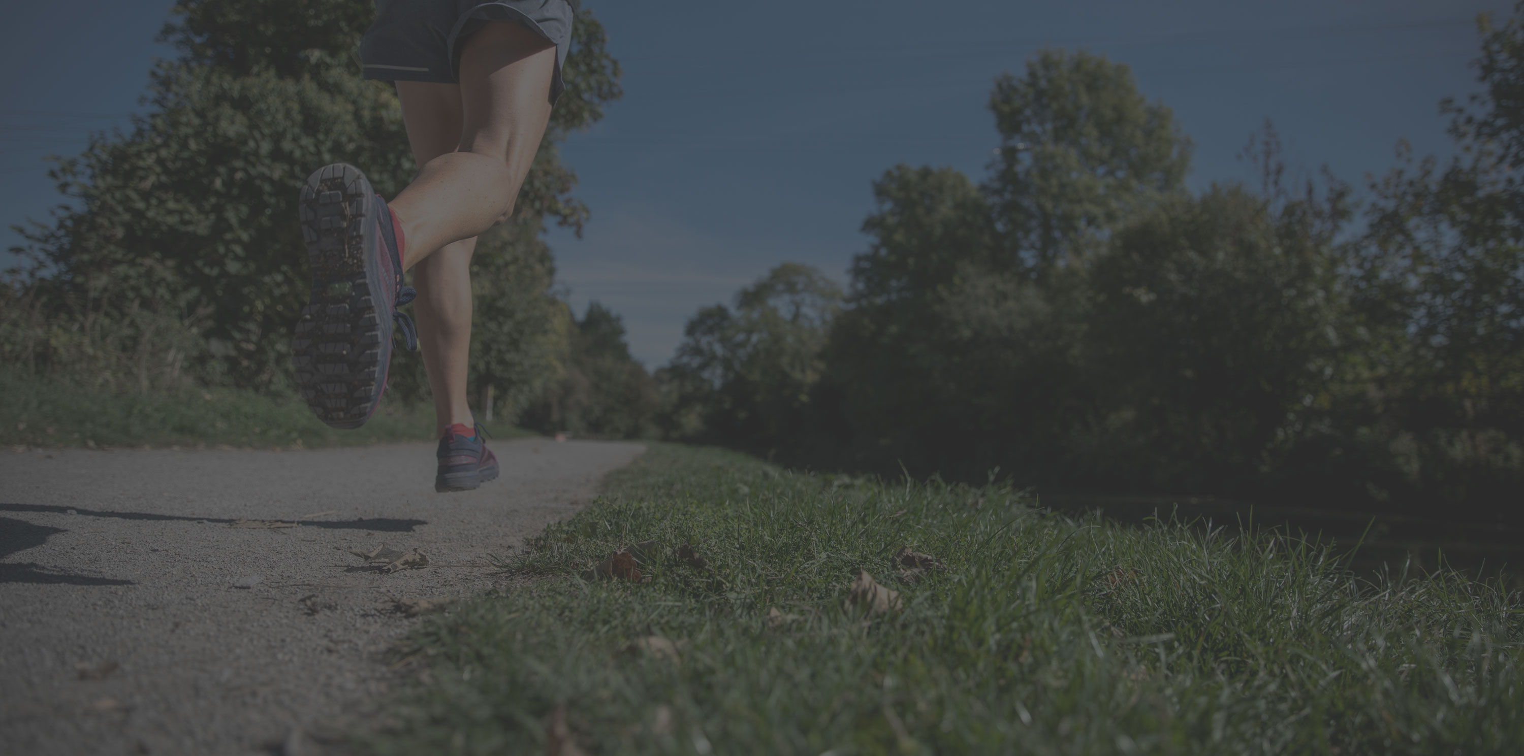 A photo taken from the ground of a man jogging in a park